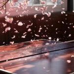 blossoms meet fiery bets
