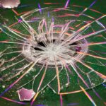 brittle dealer fissures strategy