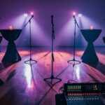 organized karaoke event planning
