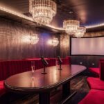 private karaoke party spaces
